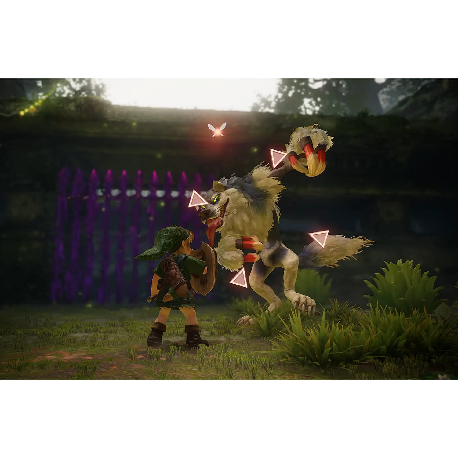 The Legend of Zelda Ocarina of Time NS2 - D